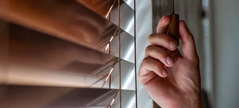 Double Roller Blinds in Brent, FL