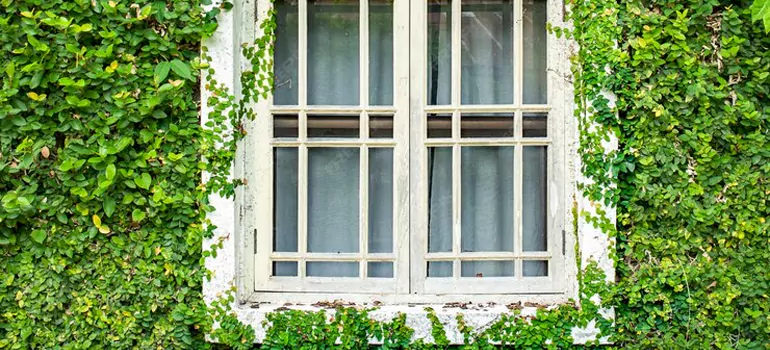 Garden Window Repair Near Me in Brent, FL