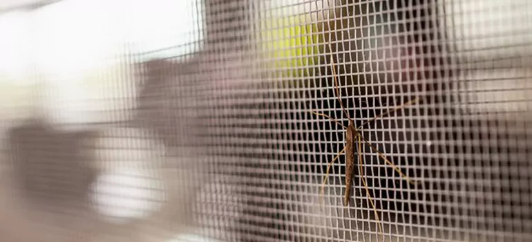 Repair Mosquito Mesh For Windows in Brent, FL