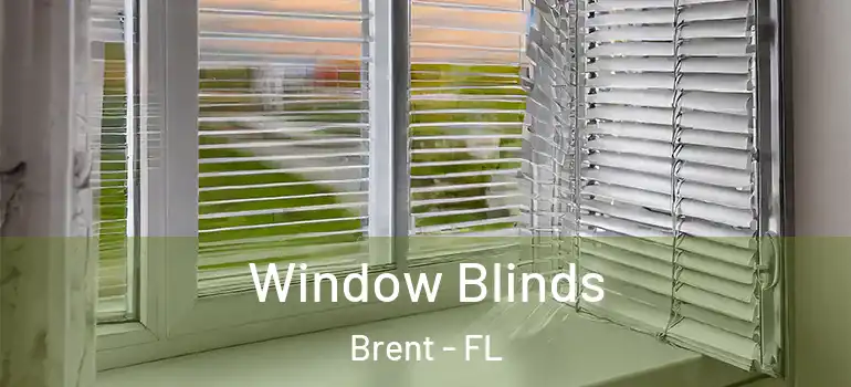 Window Blinds Brent - FL