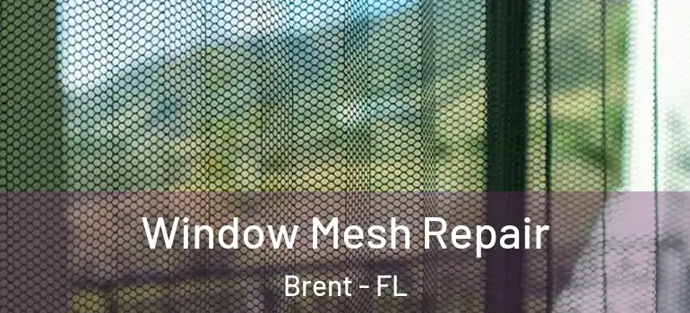 Window Mesh Repair Brent - FL